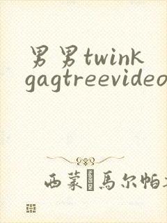 男男twinkgagtreevideo裸体