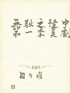 无耻之徒中文版第一季美剧无删