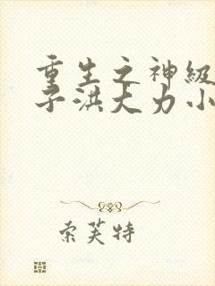 重生之神级败家子洪大力小说