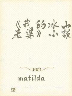 《我的冰山美女老婆》小说