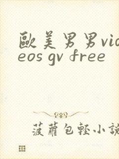 欧美男男videos gv free