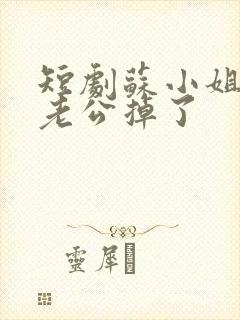 短剧苏小姐,你老公掉了