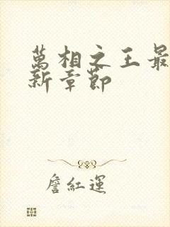 万相之王最新更新章节