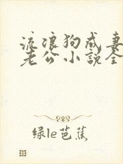 流浪狗成妻子的老公小说全文阅读