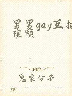 男男gay互插视频