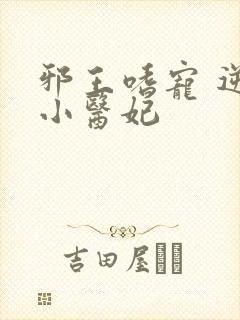 邪王嗜宠 逆天小医妃