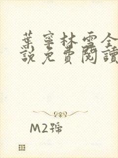 叶宁林雪全文小说免费阅读