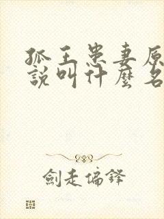 孤王患妻原著小说叫什么名字