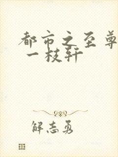 都市之至尊战神 一枝轩