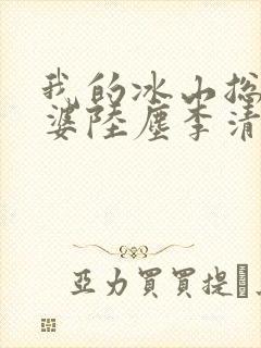 我的冰山总裁老婆陆尘李清瑶免费阅读