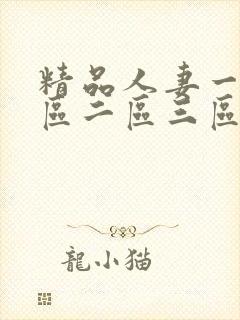 精品人妻一91区二区三区久久嗨