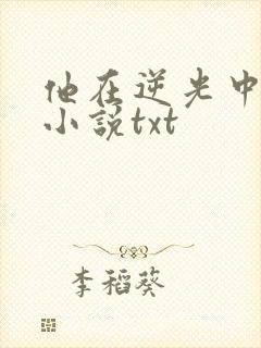 他在逆光中告白小说txt封面