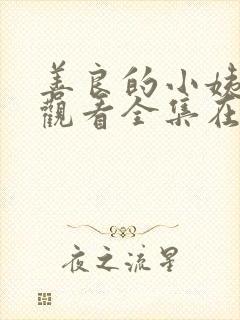 善良的小姨免费观看全集在线观看