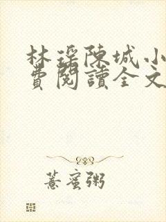 林瑶陈城小说免费阅读全文最新章节封面