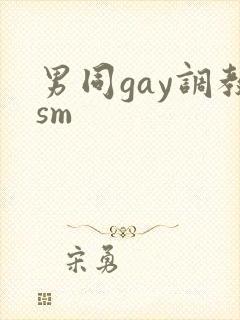男同gay调教sm封面
