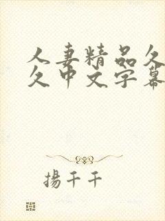 人妻精品久久久久中文字幕