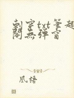 刺穿txt笔趣阁无弹窗