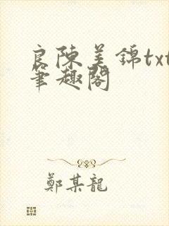 良陈美锦txt笔趣阁