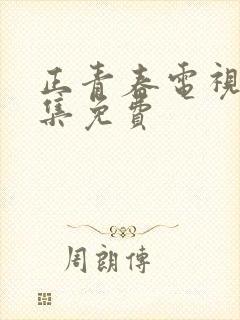 正青春电视剧全集免费