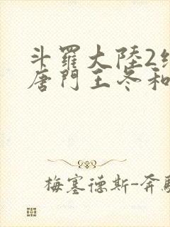 斗罗大陆2绝世唐门王冬和霍雨浩