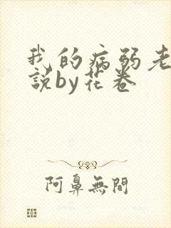 我的病弱老婆小说by花卷封面