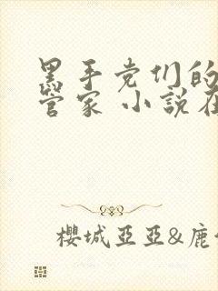 黑手党们的极品管家 小说在线阅读封面