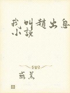 我叫赵出息原著小说