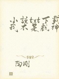 小说txt下载我不是戏神封面