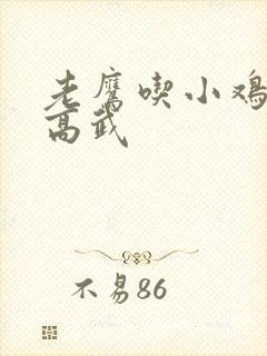 老鹰吃小鸡全球高武封面