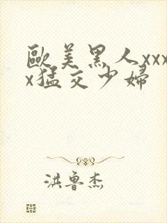 欧美黑人xxxx猛交少妇