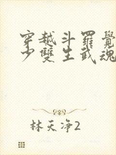 穿越斗罗觉醒最少双生武魂的动漫5小时以上