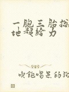 一胞三胎总裁爹地超给力封面