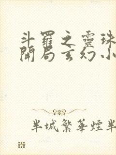 斗罗之灵珠神剑开局玄幻小猪小说最新章节封面