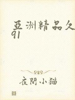 亚洲精品久久久91