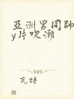 亚洲男同帅gay片吹潮