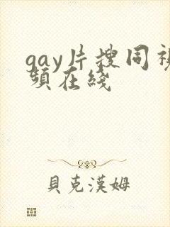 gay片搜同视频在线
