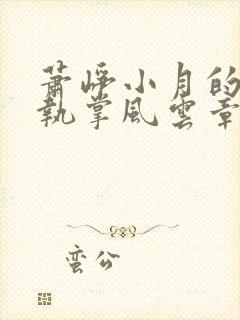 萧峥小月的小说执掌风云章节更新封面