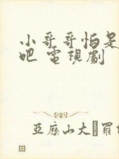 小哥哥怕是有毒吧 电视剧封面