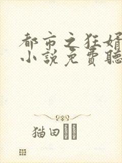 都市之狂婿战神小说免费听书