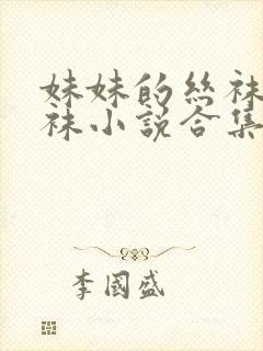 妹妹的丝袜,丝袜小说合集封面