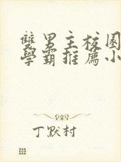 双男主校园文双学霸推荐小说完结封面