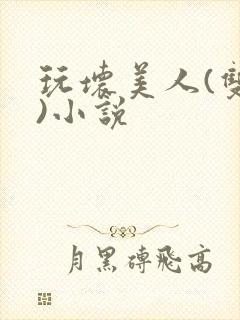 玩坏美人(双性)小说