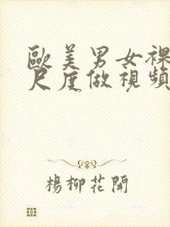 欧美男女裸体大尺度做视频网站