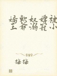 娇软奴婢被强势王爷溺宠小说免费阅读全集