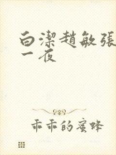 白洁赵敏张倩玩一夜