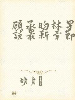 顾承昀林星禾小说最新章节免费阅读