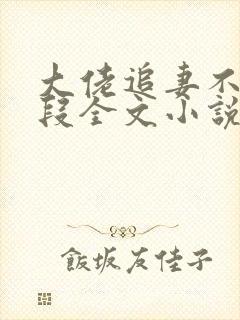 大佬追妻不择手段全文小说阅读全文