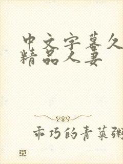 中文字幕久久久精品人妻