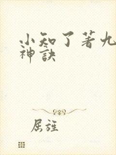 小知了著九天斩神诀封面