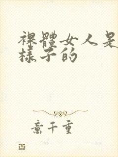 裸体女人是什么样子的封面